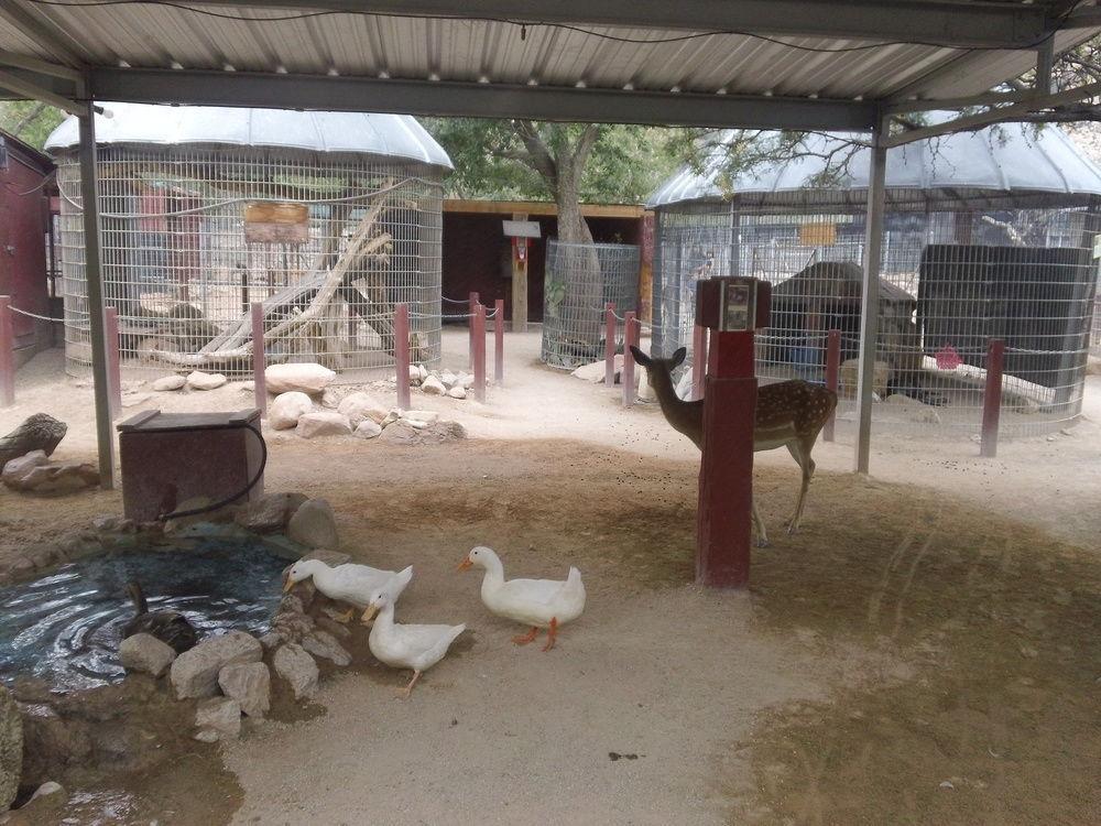 Bonnie Springs Ranch Motel Blue Diamond エクステリア 写真