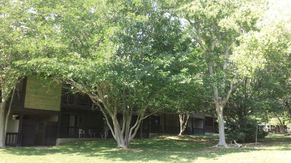 Bonnie Springs Ranch Motel Blue Diamond エクステリア 写真
