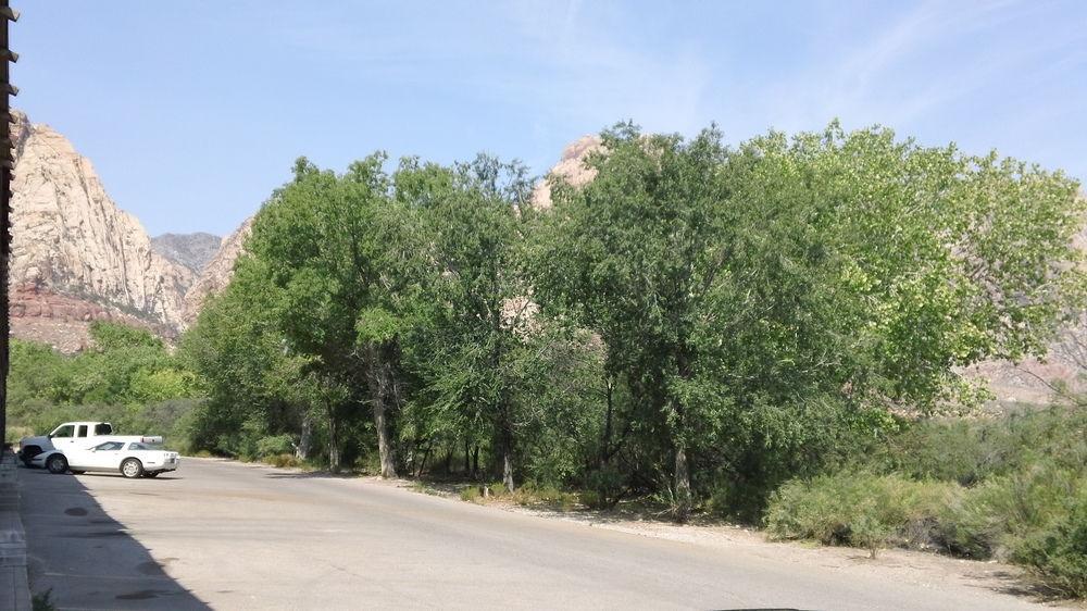 Bonnie Springs Ranch Motel Blue Diamond エクステリア 写真